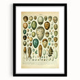 Vintage Egg Illustration - Nature Elements Wall Art Print