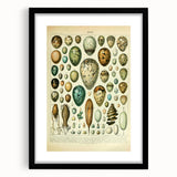 Vintage Egg Illustration - Nature Elements Wall Art Print