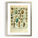 Vintage Egg Illustration - Nature Elements Wall Art Print