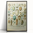 Vintage Egg Illustration - Nature Elements Wall Art Print