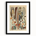 Vintage Bird Feathers Illustration - Nature Elements Wall Art Print