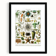 Vintage Oceanography Illustration - Nature Elements Wall Art Print