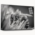 Wall art piece showcasing a detailed design of bees and arachnids on acrylic glass, displayed side view with pins, perfect for nature-themed decor.