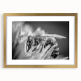 Framed wall art showcasing a detailed design of bees and arachnids, featuring a gold mat and frame, perfect for nature enthusiasts and home decor.