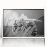 Framed wall art featuring a detailed illustration of bees, showcasing vibrant colors and intricate patterns, perfect for nature enthusiasts and modern decor.
