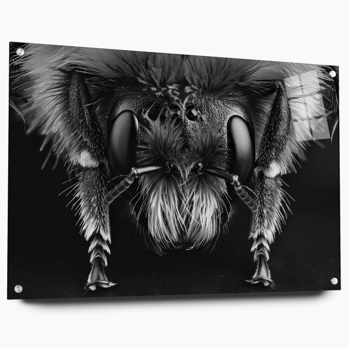 Acrylic wall art collection showcasing a vibrant bee and arachnid design, presented in a sleek side view with decorative pins, ideal for insect enthusiasts.