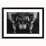 Framed wall art collection featuring a detailed design of bees and arachnids, set in a sleek black frame with a mat, ideal for nature enthusiasts and home decor.