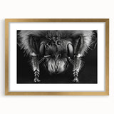 Framed wall art collection featuring intricate bee and arachnid designs, set in a gold frame with matting, ideal for nature enthusiasts and home decor.