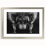 Framed wall art showcasing a detailed design of bees and arachnids, featuring a silver frame and mat, perfect for nature enthusiasts and home decor.