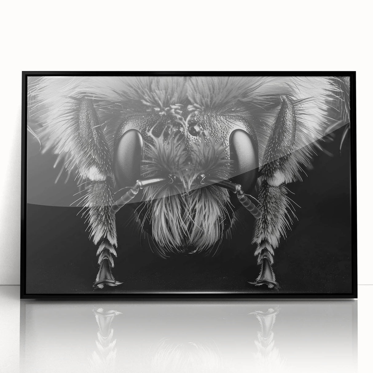 Framed wall art featuring a detailed illustration of various bees and arachnids, designed with a sleek black frame and acrylic cover, perfect for nature enthusiasts and home decor.