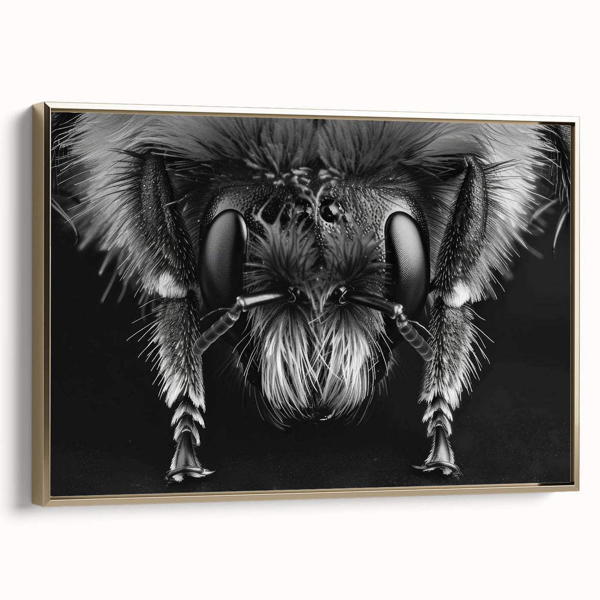 Framed wall art collection showcasing a vibrant design of bees and arachnids, with a luxurious gold frame. Ideal for nature lovers and home decor enthusiasts.