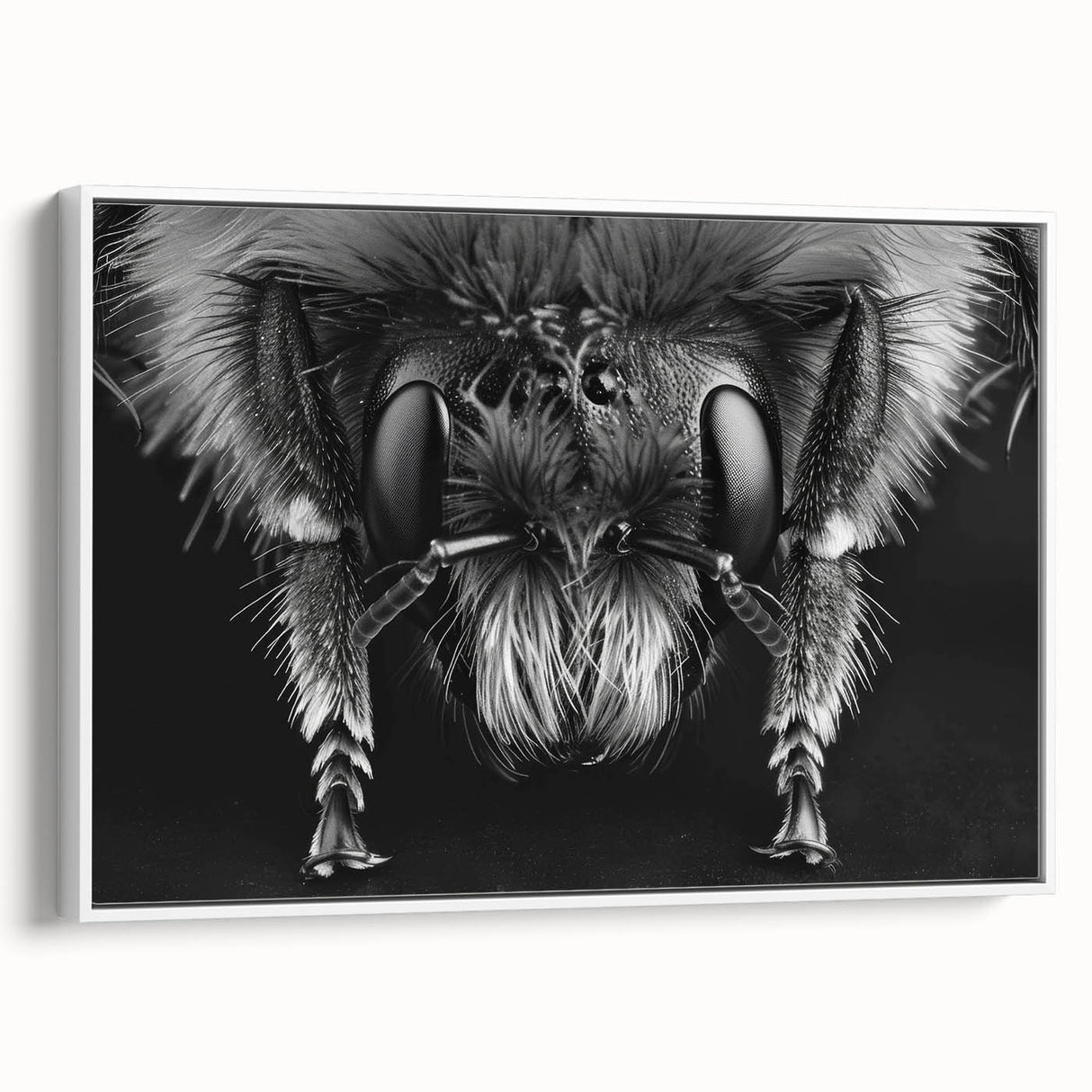 Framed canvas wall art collection showcasing a detailed insect and arachnid bee design, featuring vibrant colors and intricate patterns, perfect for nature lovers.