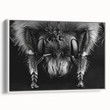 Framed canvas wall art collection showcasing a detailed insect and arachnid bee design, featuring vibrant colors and intricate patterns, perfect for nature lovers.