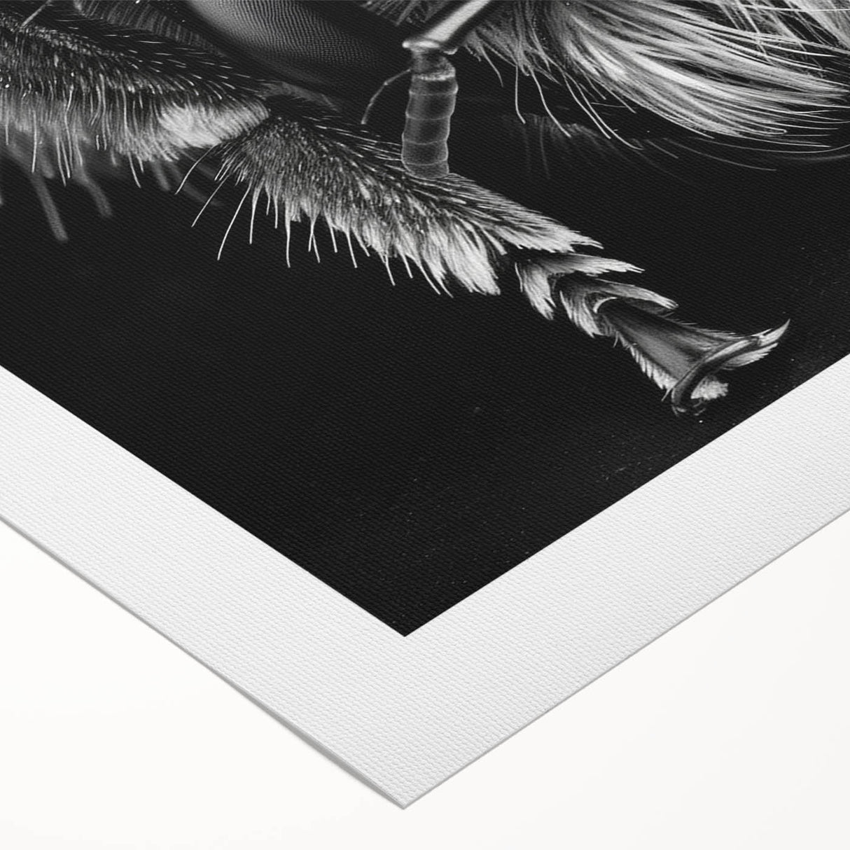 Vibrant rolled canvas wall art showcasing a detailed design of various insects and arachnids, perfect for nature enthusiasts and interior decor, elegantly packaged.
