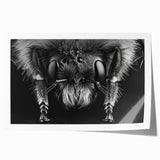Colorful wall art print showcasing a detailed illustration of bees and arachnids, rolled and ready for display, perfect for nature enthusiasts and decor lovers.
