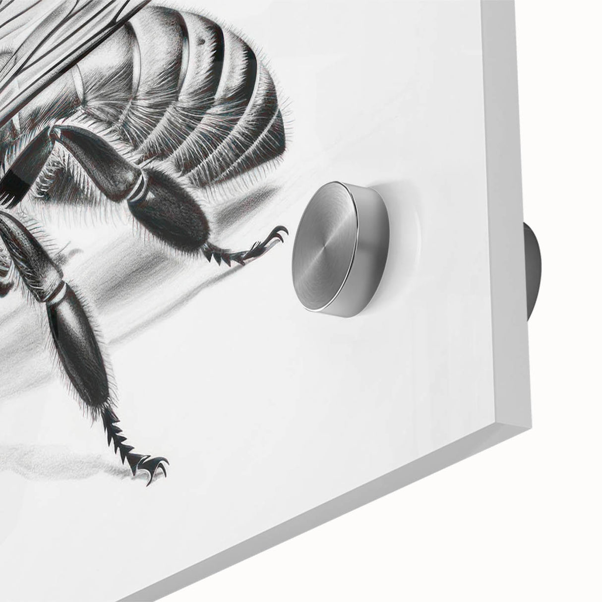 Close-up of a vibrant acrylic wall art piece showcasing intricate designs of bees and arachnids, perfect for nature enthusiasts and home decor lovers. The artwork features rich colors and detailed textures that highlight the beauty of these insects.