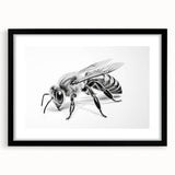 Framed wall art showcasing a detailed design of bees from the Insect and Arachnid collection, featuring a black mat and sleek black frame, ideal for nature enthusiasts.