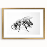 Framed wall art featuring a detailed illustration of bees and arachnids in a gold frame, perfect for enhancing nature-themed interior decor. The design showcases intricate details and vibrant colors, providing an educational and artistic touch to any space.