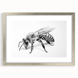 Framed wall art featuring a detailed design of bees and arachnids in a silver frame, showcasing intricate illustrations and a stylish mat, perfect for nature enthusiasts.