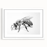 Framed wall art featuring a detailed bee and arachnid design, presented in a white mat, showcasing intricate illustrations perfect for nature enthusiasts and home decor.