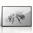Framed wall art showcasing detailed insect and arachnid illustrations, including bees, on a black background, perfect for nature enthusiasts and home decor.