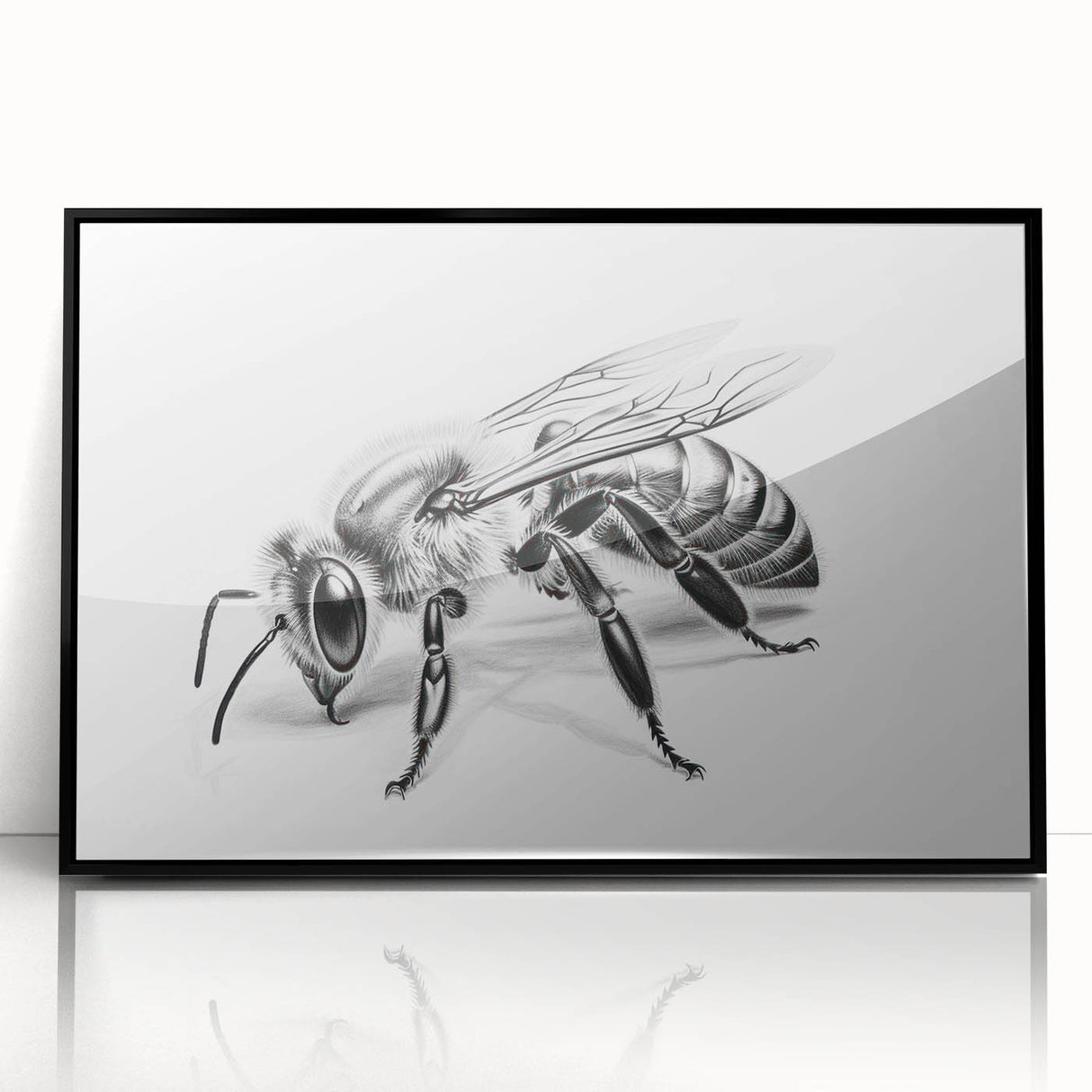 Framed wall art showcasing detailed insect and arachnid illustrations, including bees, on a black background, perfect for nature enthusiasts and home decor.