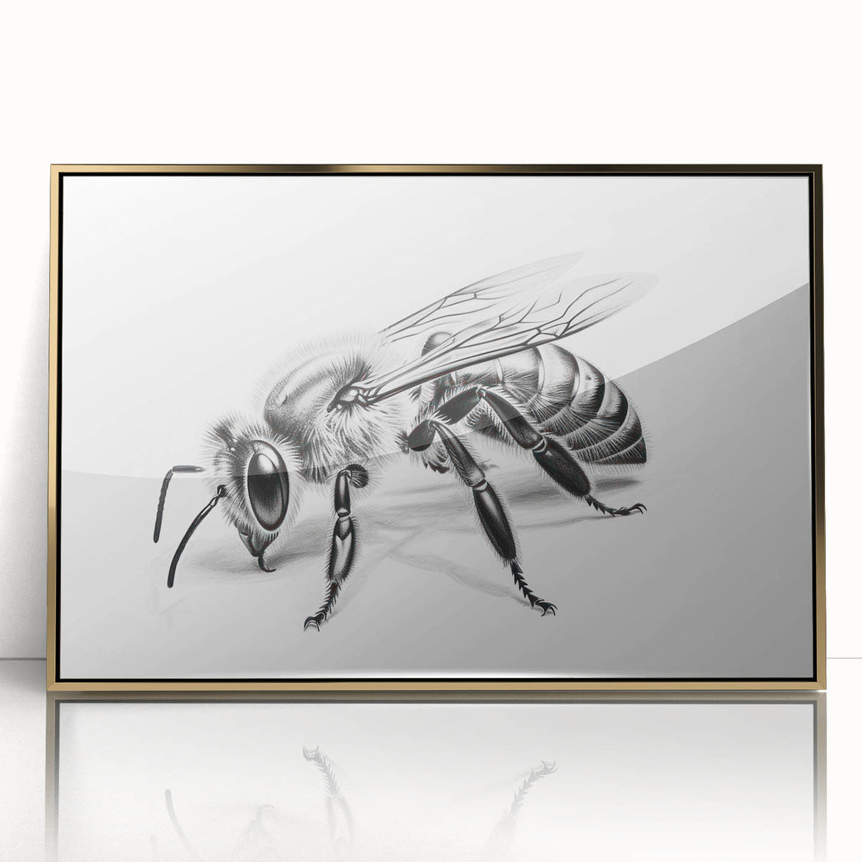 Framed wall art featuring a detailed illustration of bees and arachnids, with a gold-accented acrylic front, perfect for nature enthusiasts and home decor.