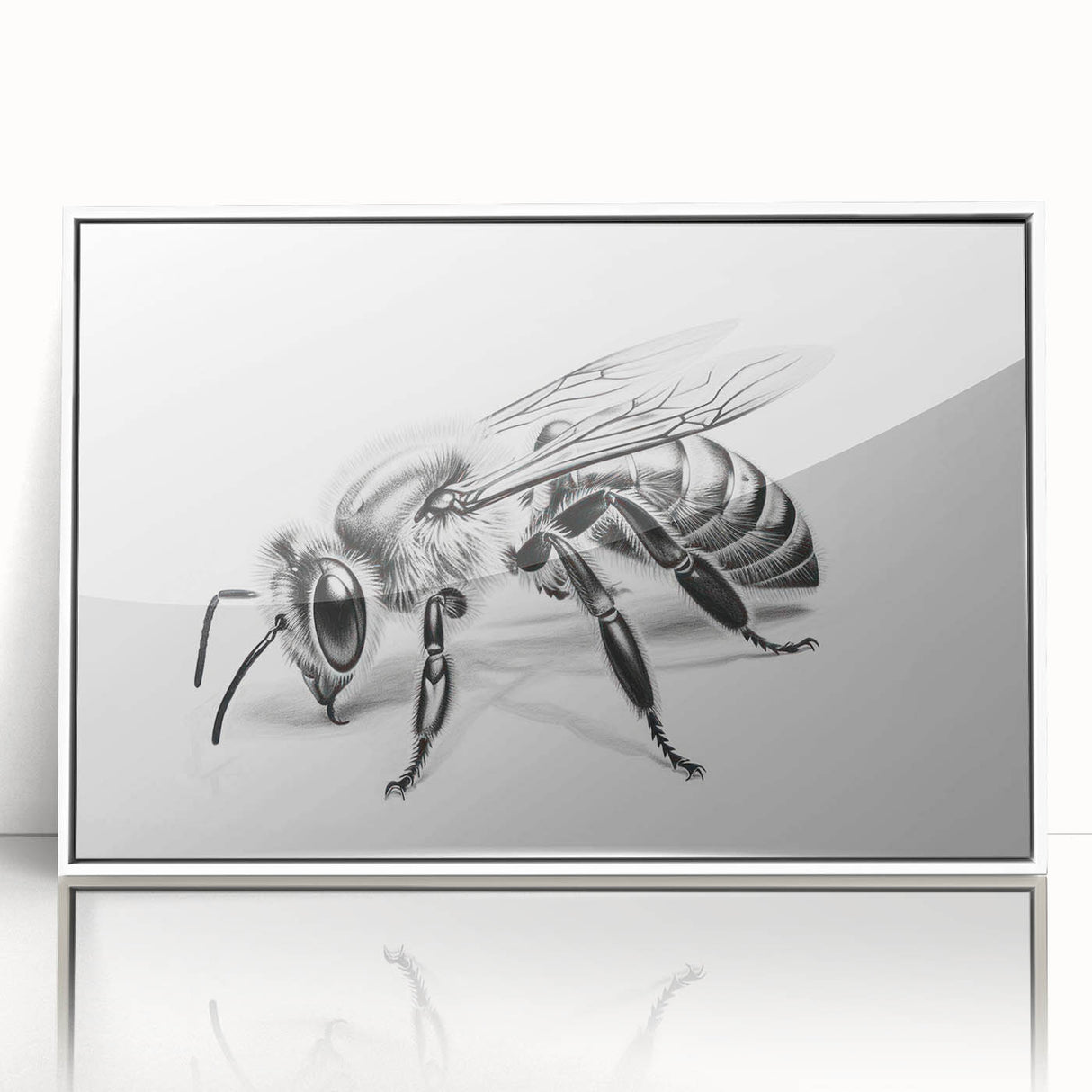 Framed wall art featuring a vibrant bee and arachnid design, showcasing detailed illustrations in a modern white frame, perfect for insect enthusiasts and home decor.