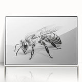 Framed wall art featuring a vibrant bee and arachnid design, showcasing detailed illustrations in a modern white frame, perfect for insect enthusiasts and home decor.