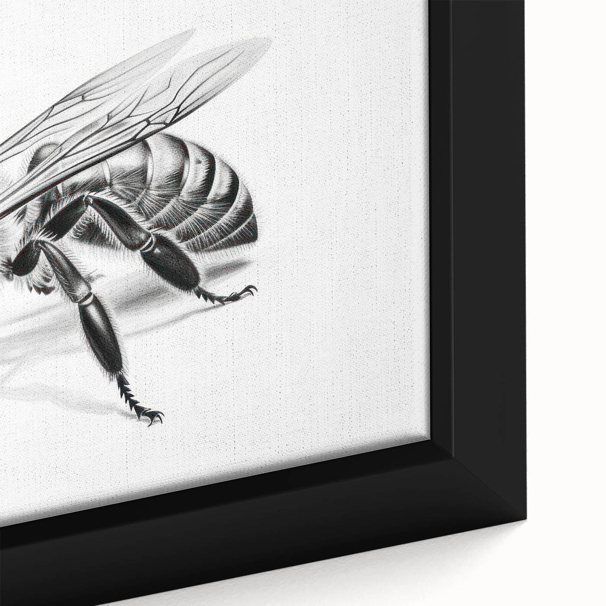 Close-up of a framed canvas wall art piece showcasing intricate designs of bees and arachnids in vivid colors, ideal for nature enthusiasts and home decor.