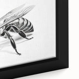 Close-up of a framed canvas wall art piece showcasing intricate designs of bees and arachnids in vivid colors, ideal for nature enthusiasts and home decor.