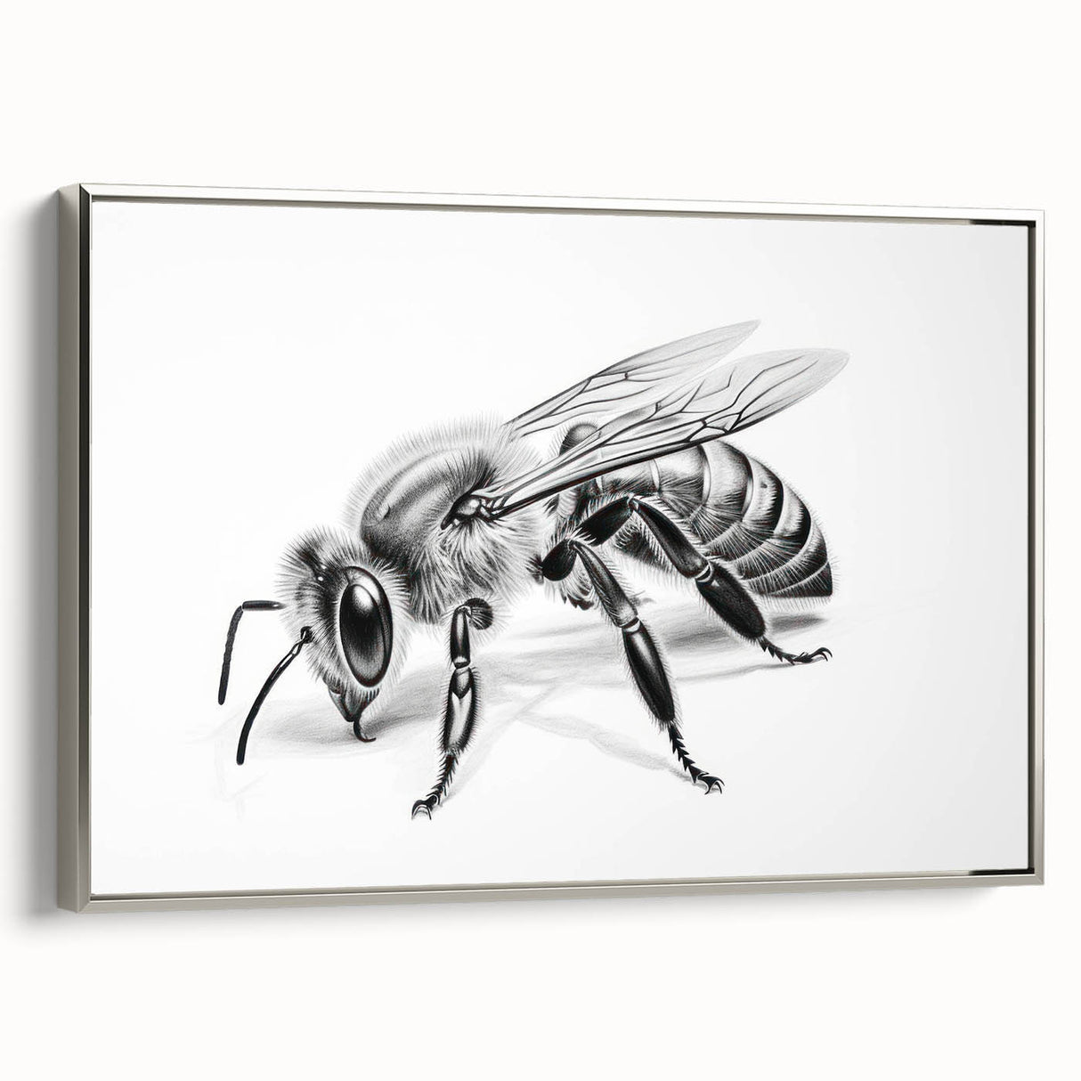 Framed canvas wall art showcasing a detailed insect and arachnid bee design, with a sleek silver frame, perfect for nature enthusiasts and modern decor.