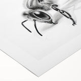 Rolled canvas wall art showcasing an intricate design of bees and arachnids, featuring vibrant colors and detailed illustrations, ideal for nature lovers' decor.