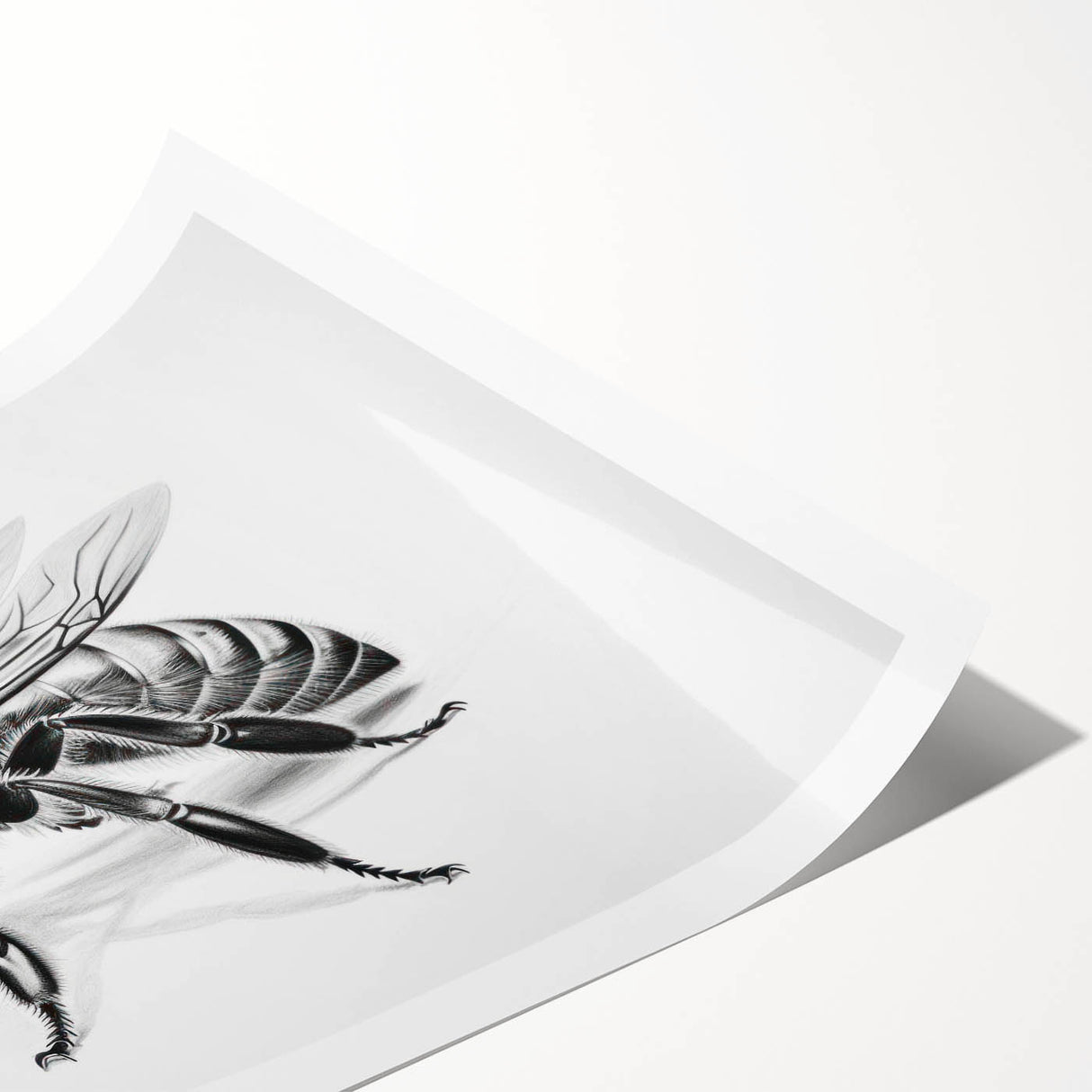 Detailed illustration of various bees, showcasing intricate designs in vibrant colors on a rolled print, ideal for nature enthusiasts and home decor.