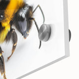Close-up of a vibrant wall art piece showcasing a detailed design of insects and arachnids, featuring bees against an acrylic glass background, perfect for nature enthusiasts.