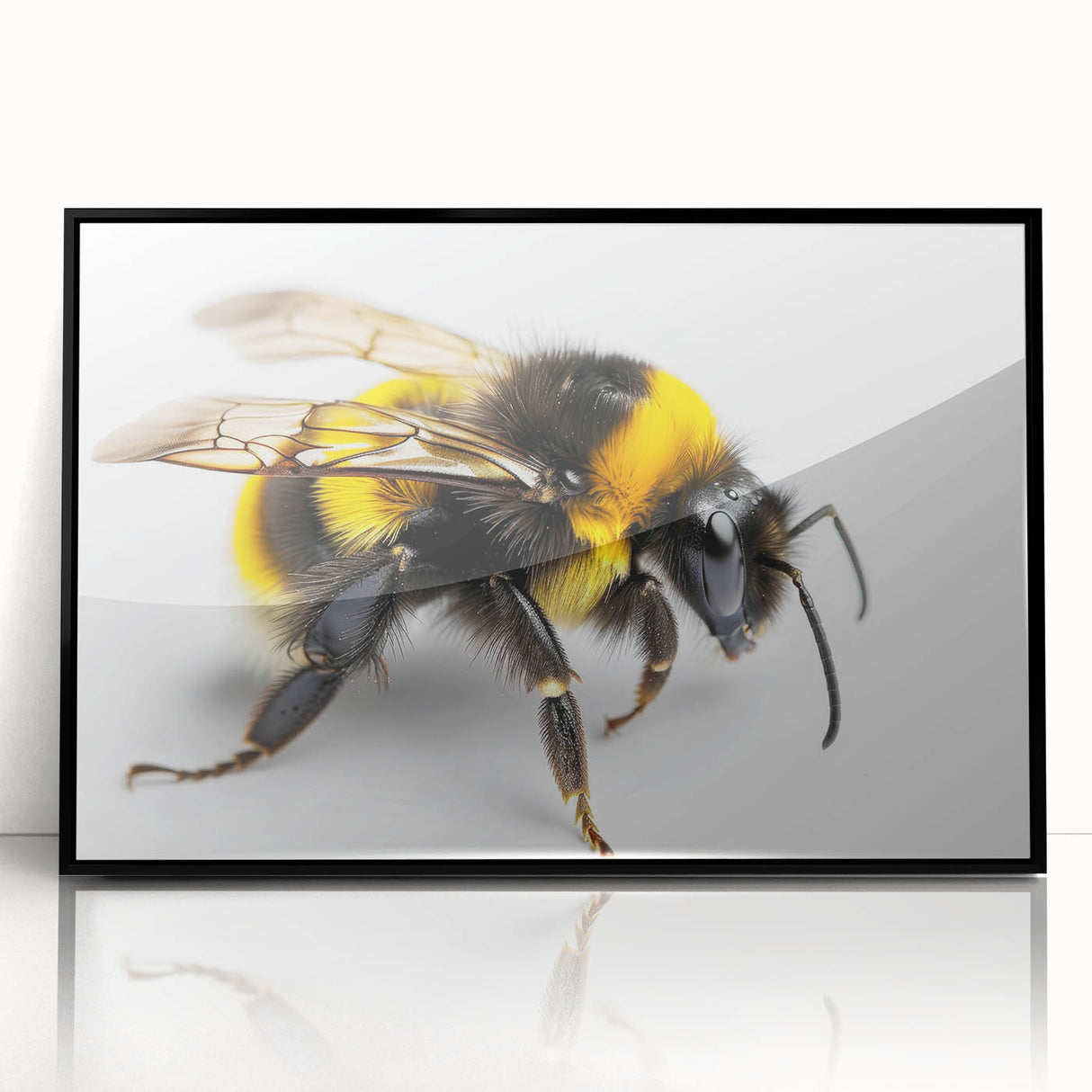 Framed black acrylic wall art showcasing a detailed illustration of bees and arachnids, perfect for nature enthusiasts and modern decor, adding a unique touch to any room.
