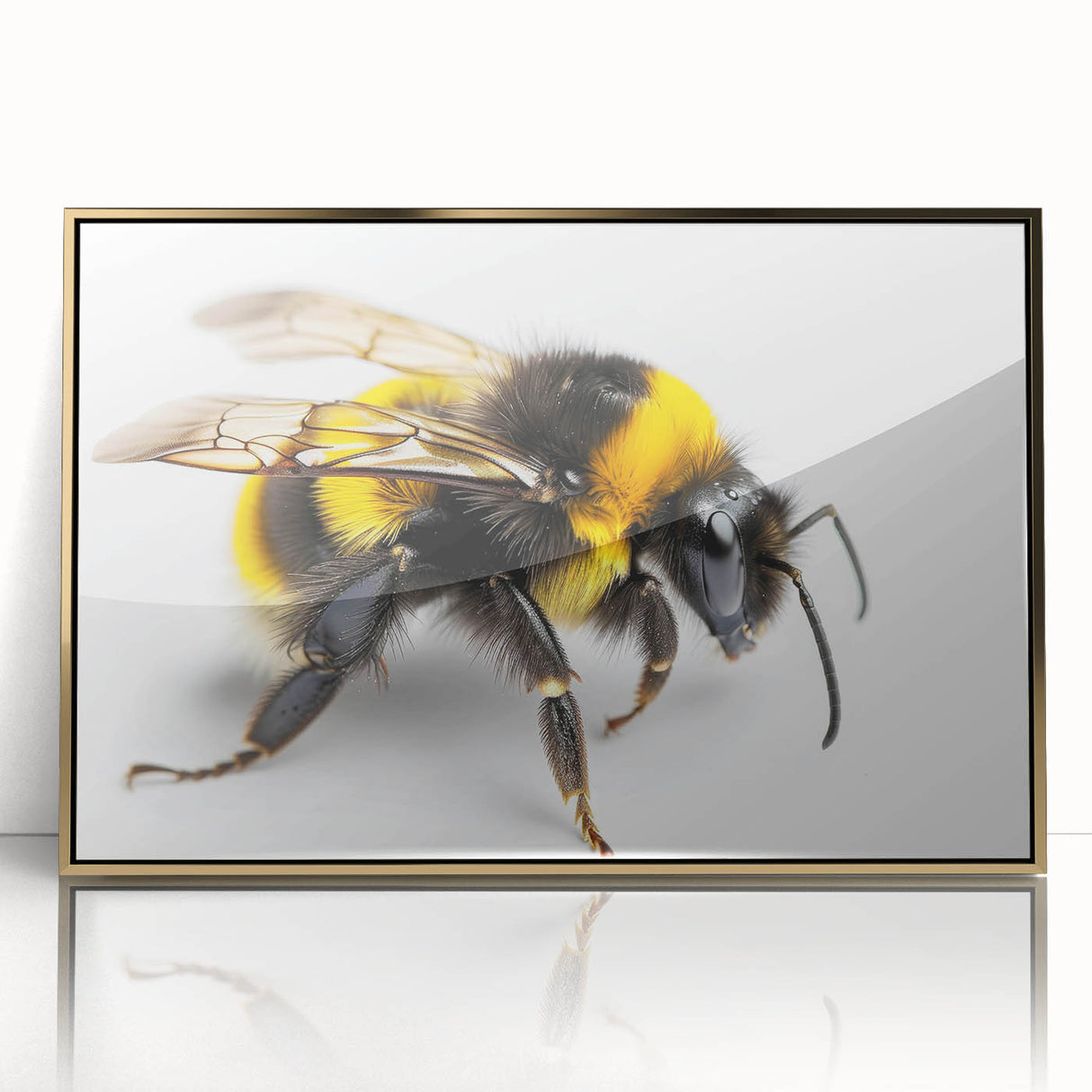 Framed wall art featuring a detailed collection of bees and arachnids in vibrant colors, with a sleek gold frame, perfect for nature enthusiasts and home decor.