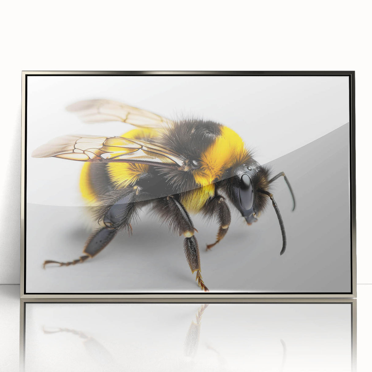Framed acrylic wall art showcasing a detailed design of bees and arachnids, featuring a silver frame that enhances the vibrant colors and intricate patterns. Ideal for nature enthusiasts and modern decor.