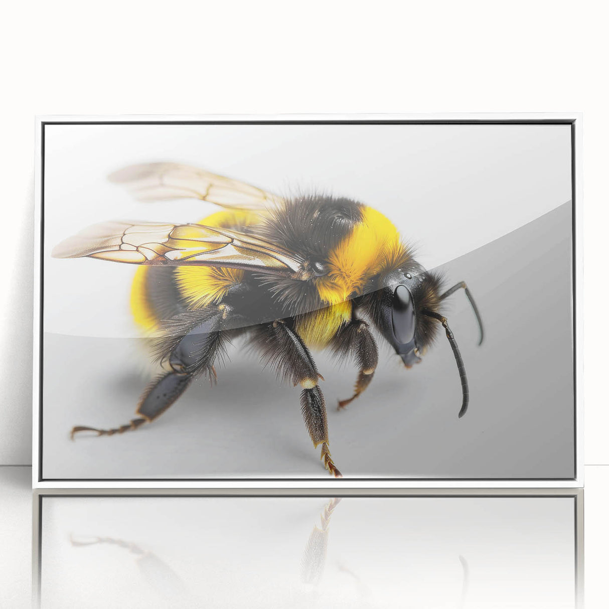 Framed wall art featuring an intricate design of bees and arachnids, presented in a sleek white frame with acrylic front, perfect for nature-themed decor.