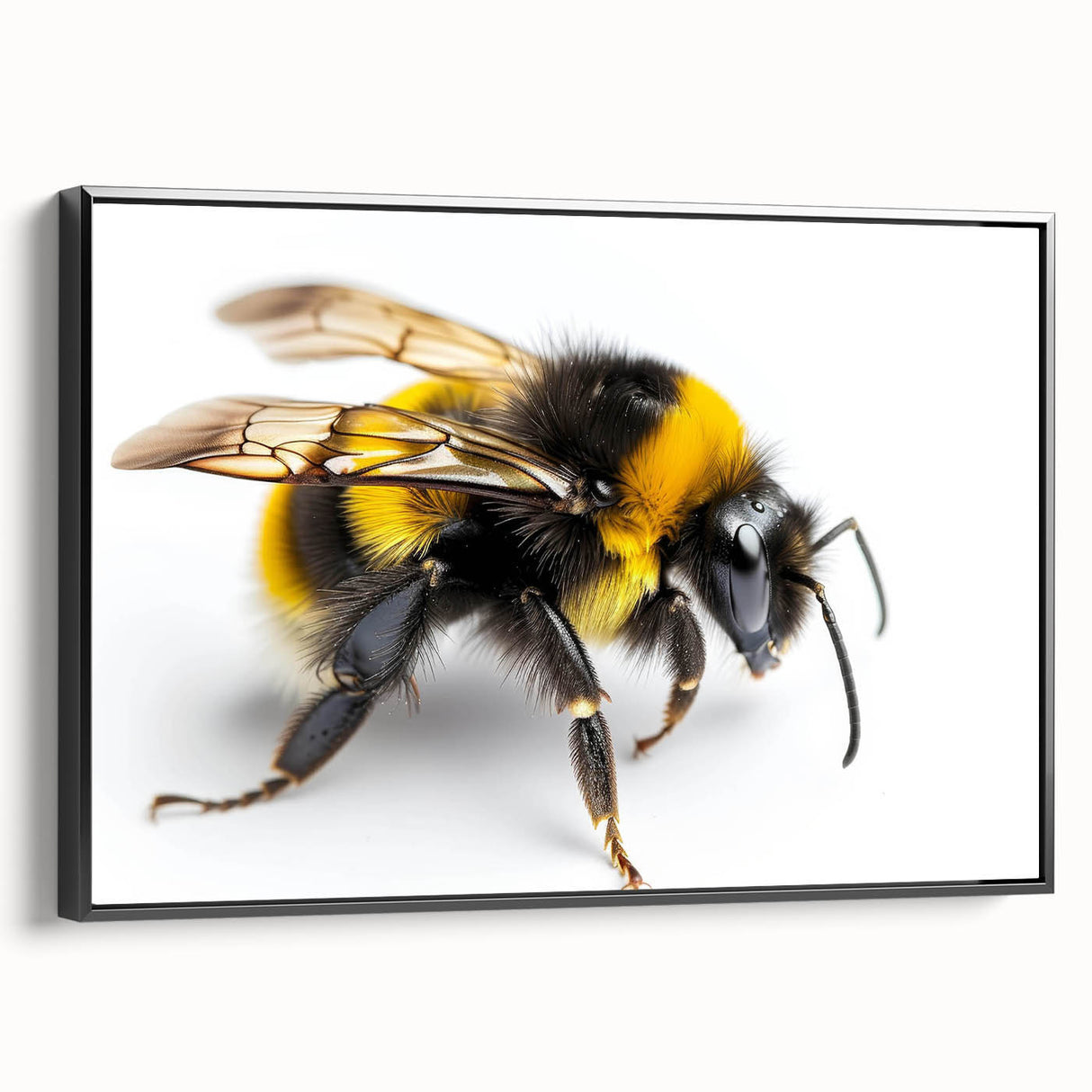 Framed wall art featuring a detailed insect and arachnid design, showcasing bees in a black frame, perfect for nature lovers and home decor enthusiasts.