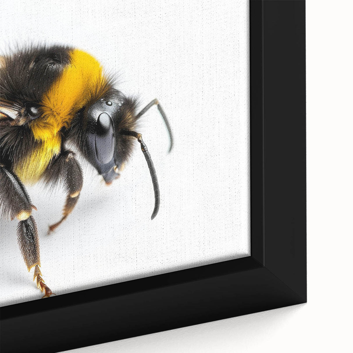 Close-up view of a framed canvas wall art depicting various insect and arachnid species, featuring vibrant colors and intricate details, perfect for nature enthusiasts.