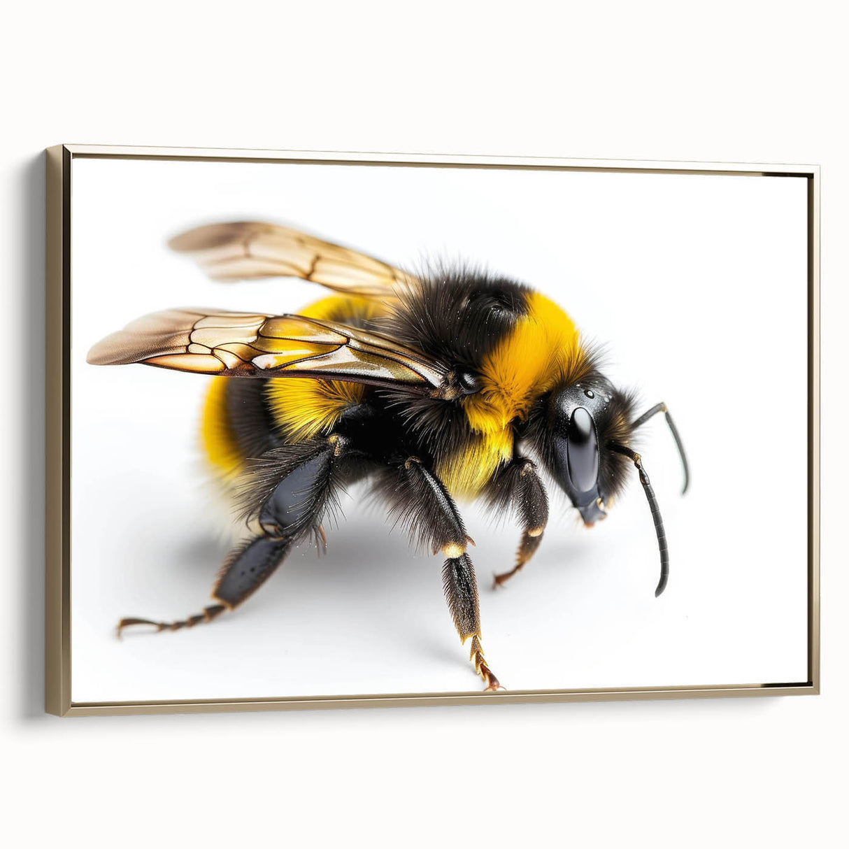 Framed canvas wall art showcasing a detailed insect and arachnid bee design, featuring gold accents and a sleek side view, perfect for nature lovers' decor.