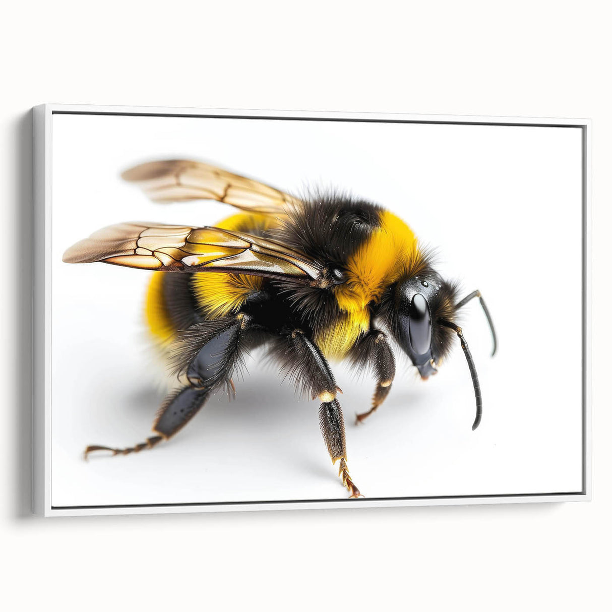 Framed wall art featuring a stylish design of bees and arachnids, showcasing intricate details against a white background, perfect for nature lovers and home decor.