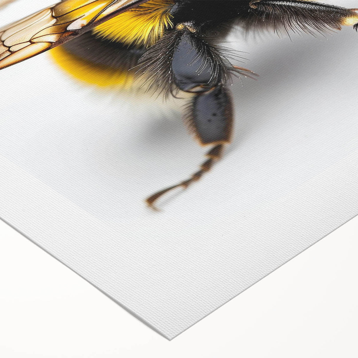 Detailed rolled canvas artwork showcasing a vibrant bee and arachnid design, perfect for nature enthusiasts, packaged securely in a protective cardboard tube.