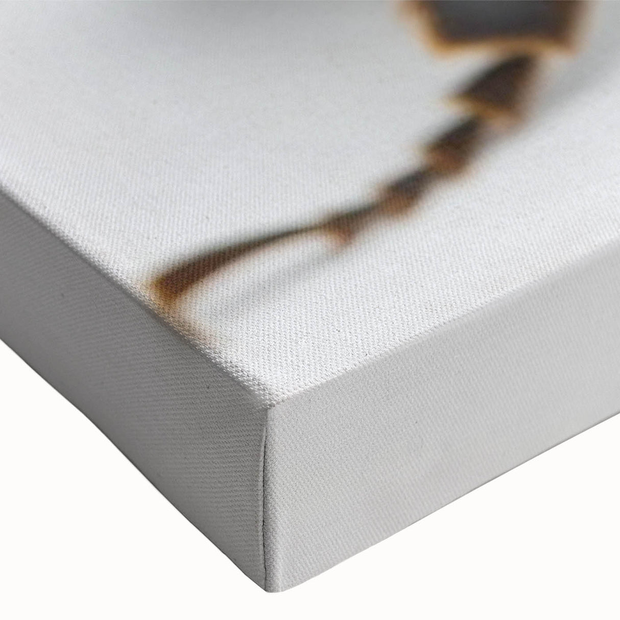 Close-up of a stretched canvas featuring a vibrant bee and arachnid design, showcasing intricate details and vivid colors, perfect for nature enthusiasts and home decor.