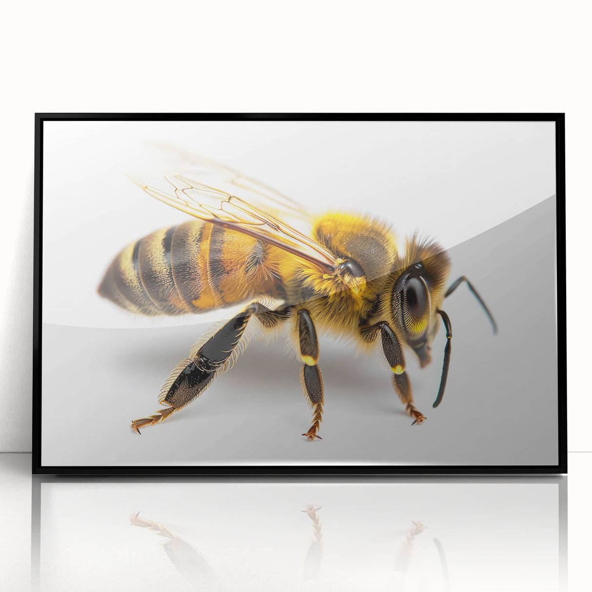 Framed acrylic wall art showcasing a detailed design of bees and arachnids, featuring a sleek black frame, perfect for adding nature-inspired decor to any space.