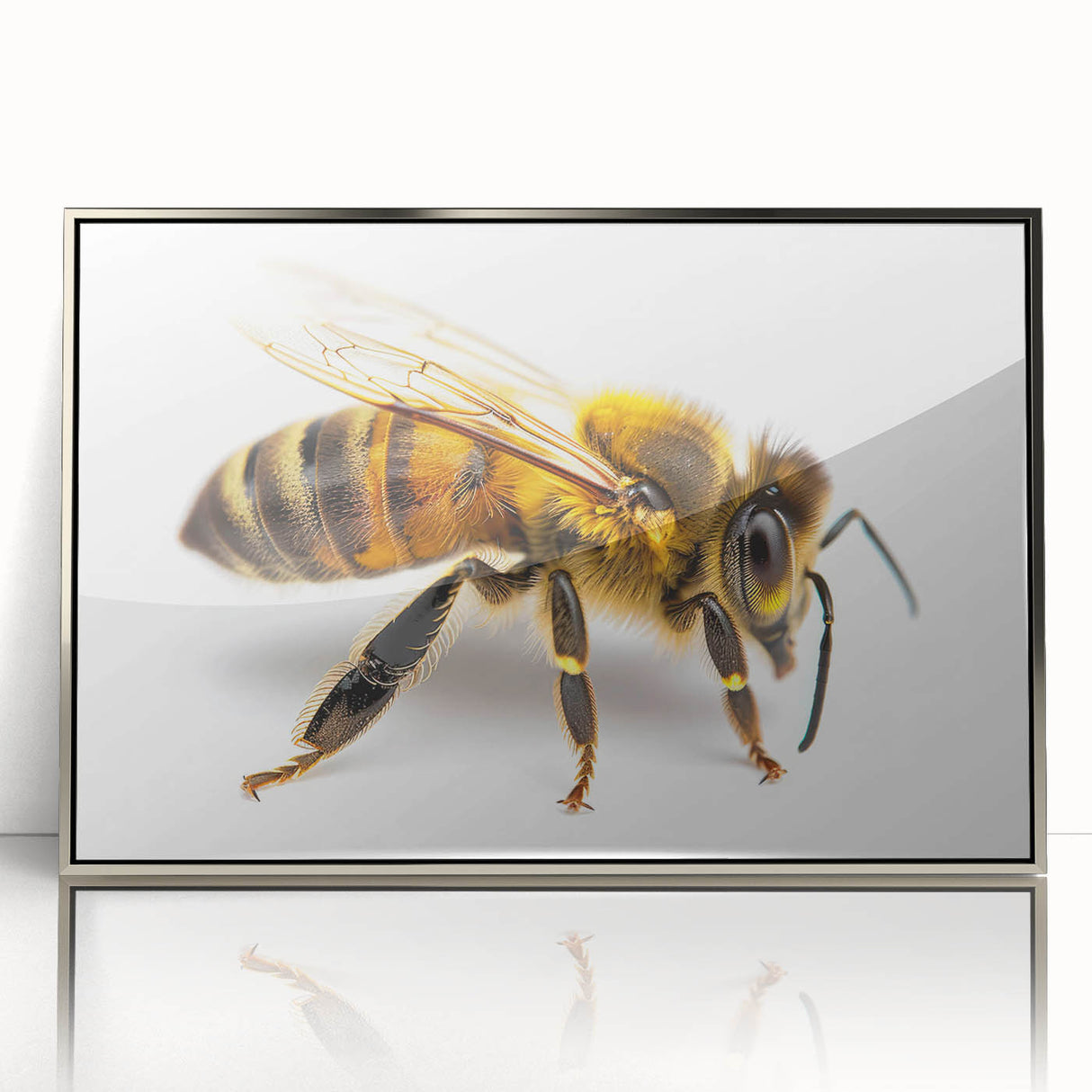 Framed acrylic wall art showcasing a detailed insect and arachnid bee design in a silver frame, perfect for nature enthusiasts and home decor.