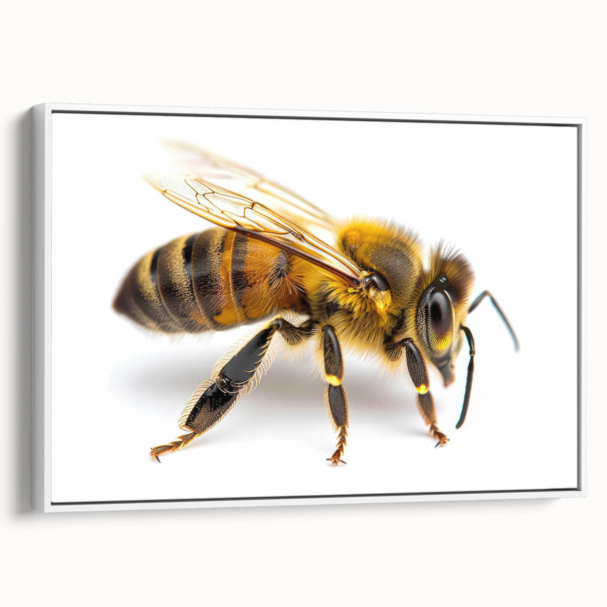 Framed canvas wall art featuring a vibrant bee and arachnid design, showcasing intricate details and a white frame, perfect for nature lovers' decor.