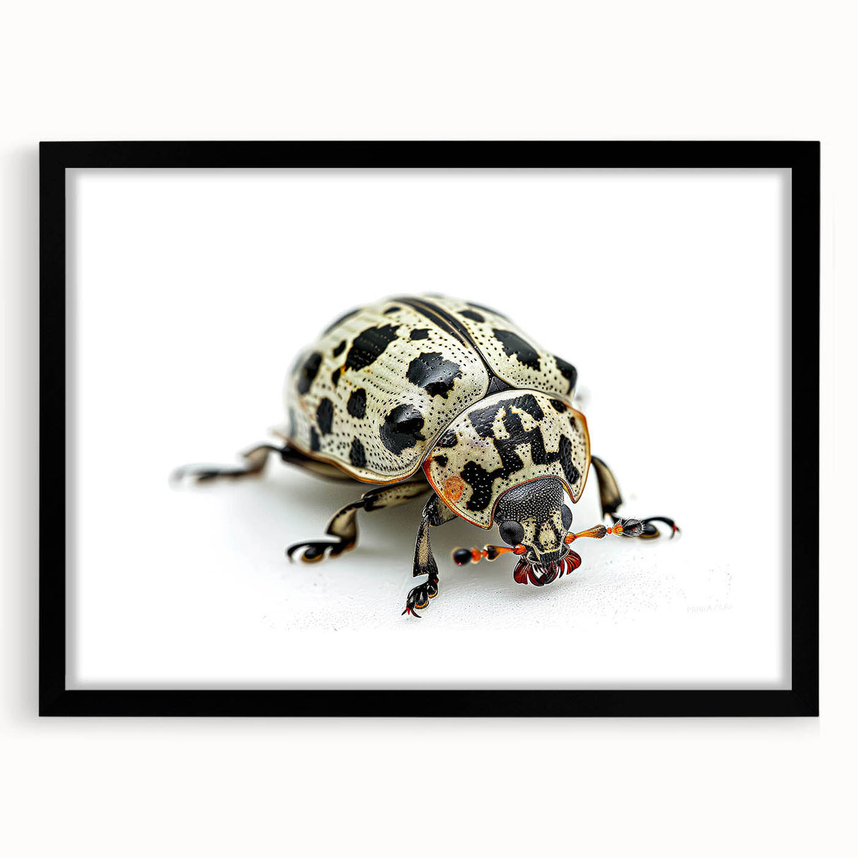 Framed wall art showcasing a detailed beetle design from the Insect and Arachnid collection, featuring a sleek black frame and mat, perfect for nature enthusiasts.