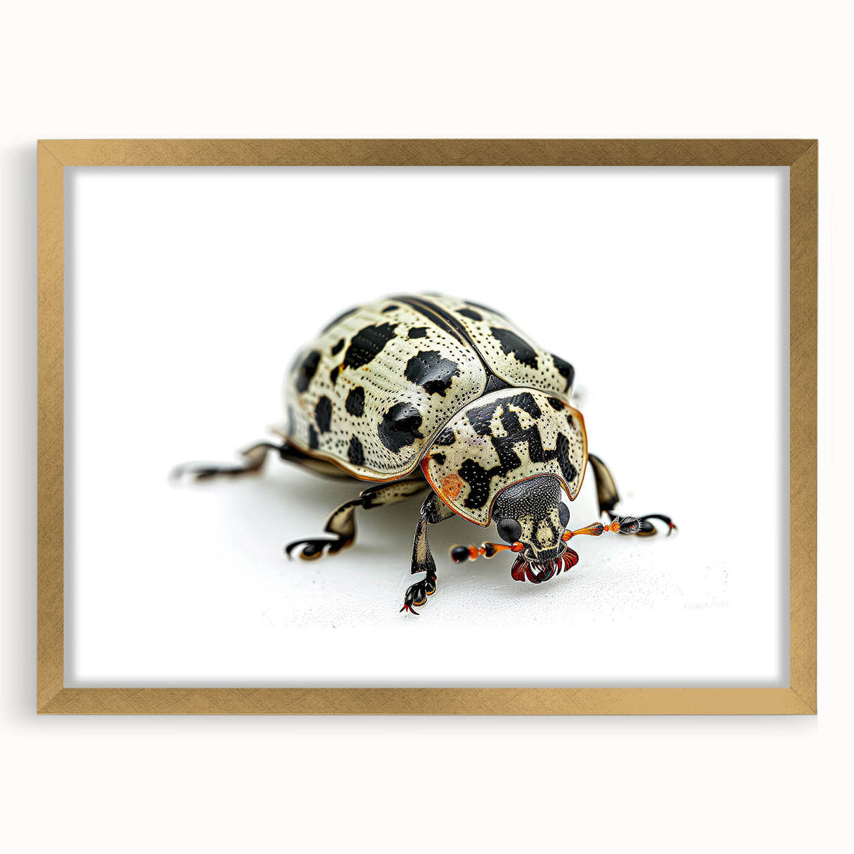 Framed wall art featuring a detailed beetle design in a matte finish, showcased with a luxurious gold frame, perfect for insect enthusiasts and home decor.